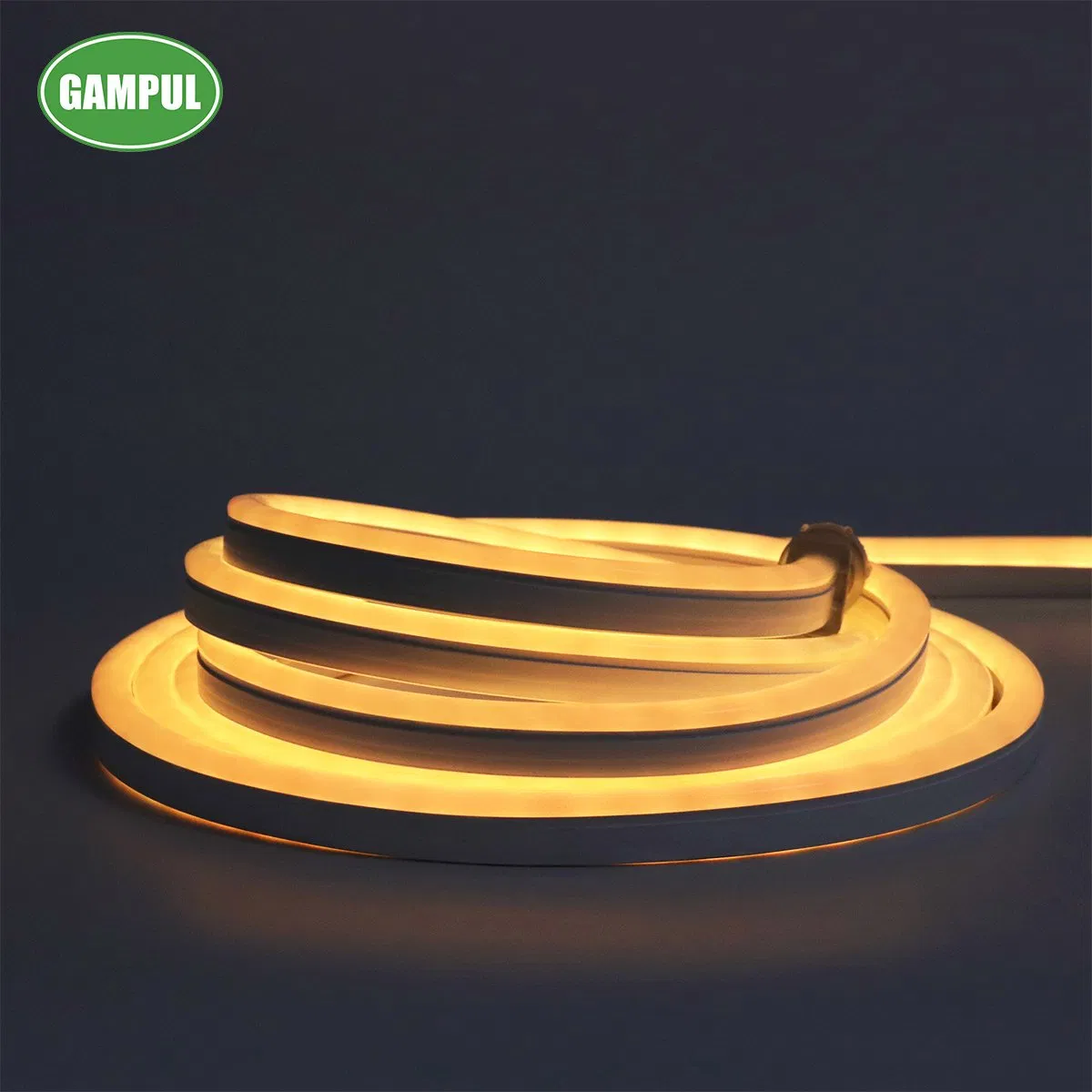 Custom LED SMD 5050 RGB WiFi Flexible Smart Neon Lighting/LED Strip Light/LED Christmas Decorative Lighting