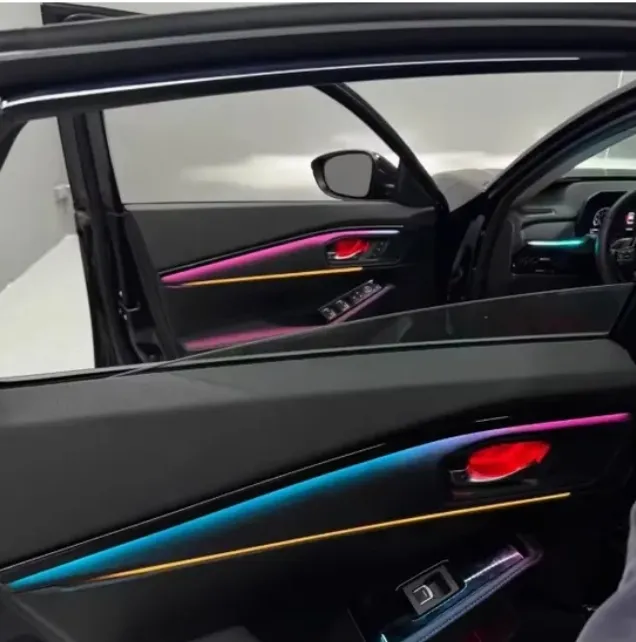 Car Interior Light Detail 2