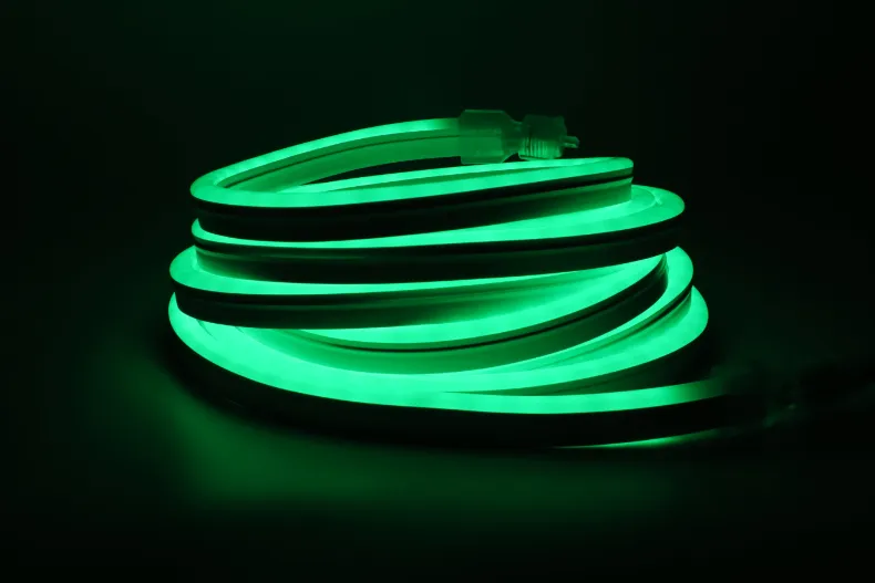 LED Neon Light Display 4