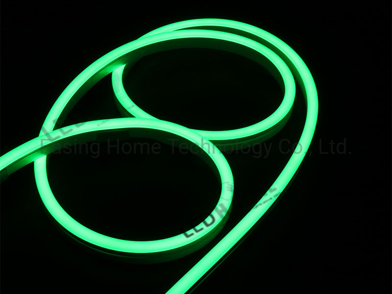 DC12/24V Neon Flex Lighting/Decorative Lighting