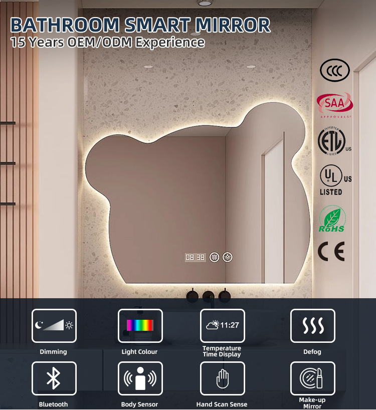 Smart Mirror Features