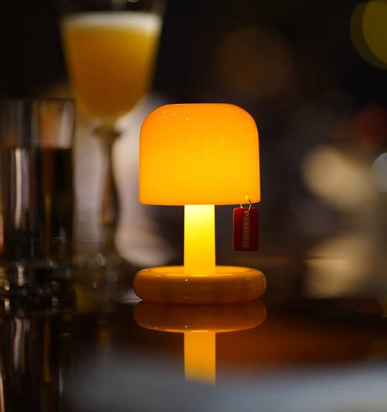 LED Decorative Ambient Lighting