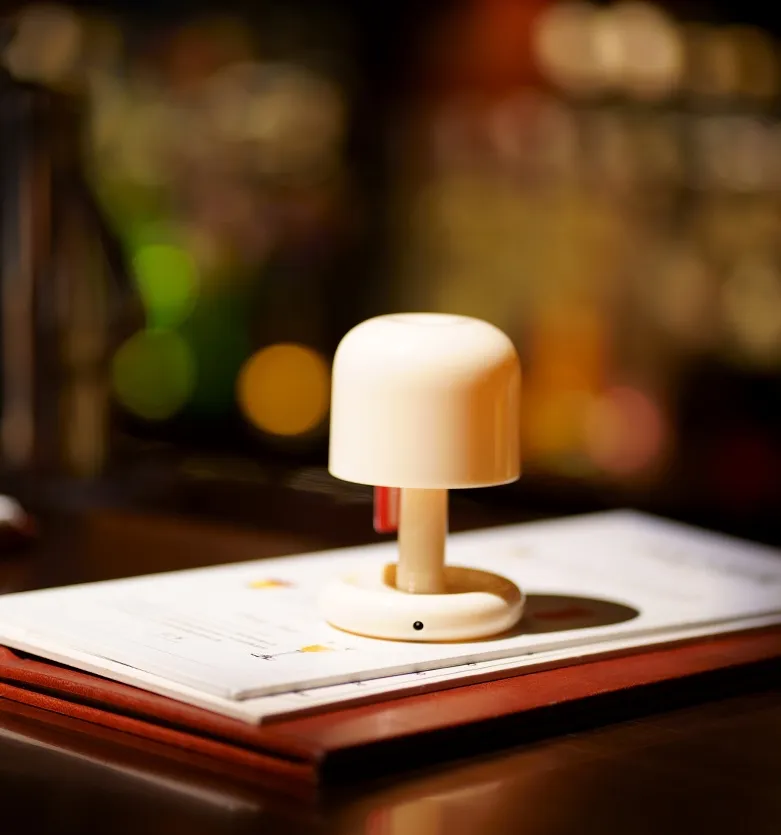 LED Decorative Ambient Lighting