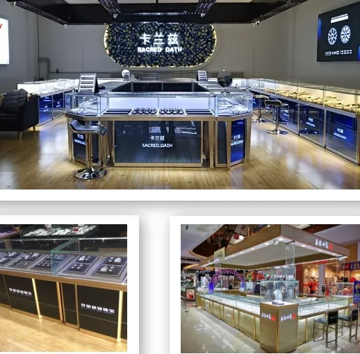 Display Cabinet Case 4