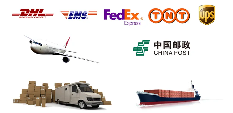 Shipping and Logistics
