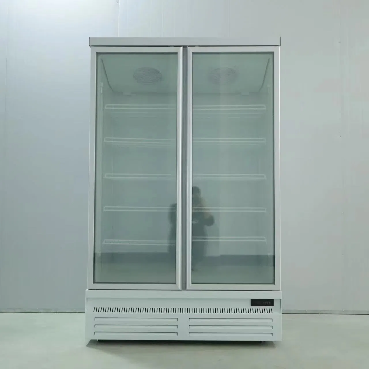 Convenience Store Showcase Freezer Display Cabinet for Storage Frozen Food