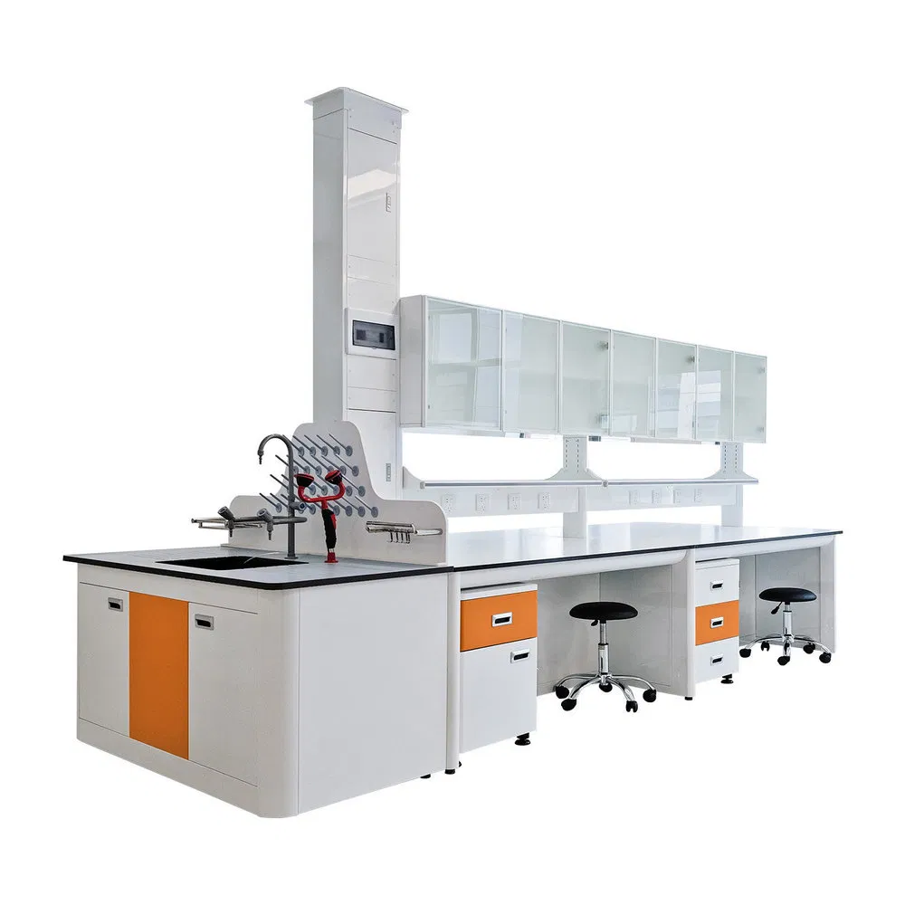 High Quality Oxidation Resistance All Steel Physical Laboratory Bench