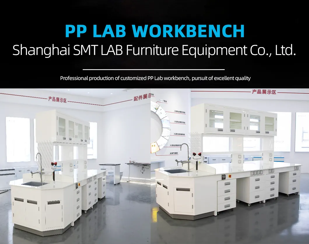High Strength Chemical-Resistant PP Modular Mobile Customization Anti-Vibration Lab Workbench