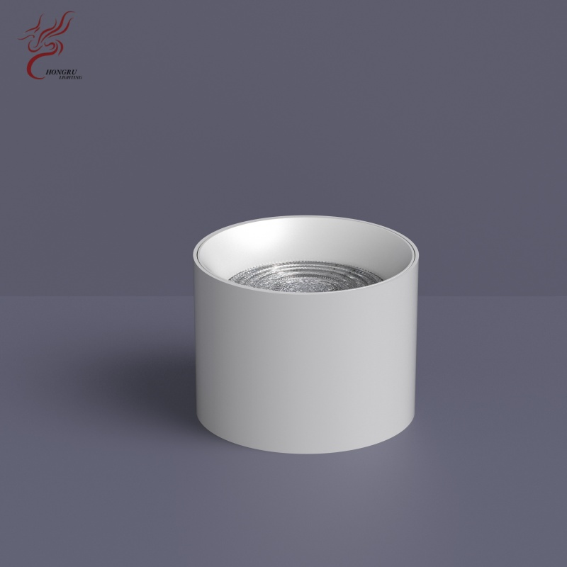 Aluminum Round Surface Mount LED Downlight, White Cylindrical LED Spotlight, AC220V Commercial Indoor Ceiling Lighting Lamp