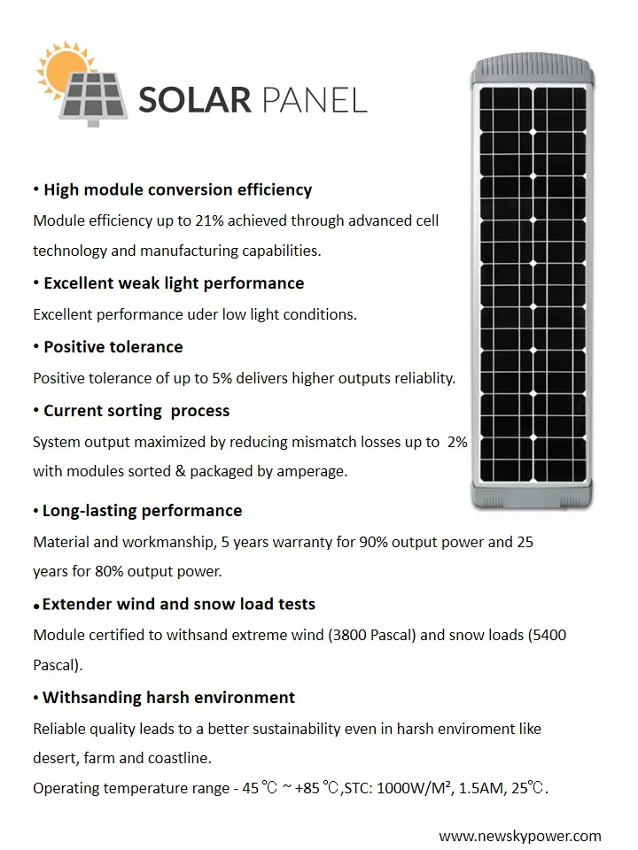 Solar Street Light 1