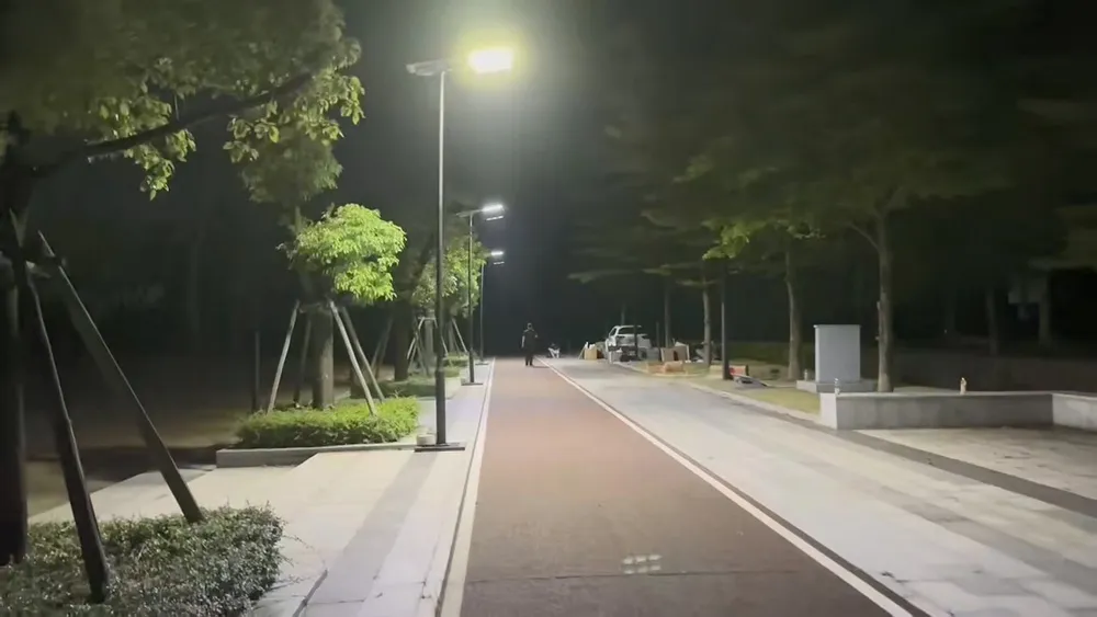 Main Road Solar Lighting
