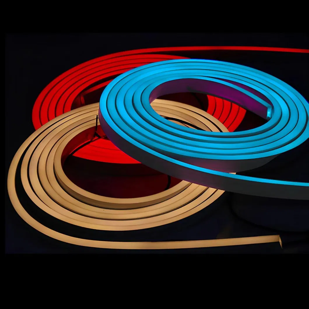 LED Neon Flex 3