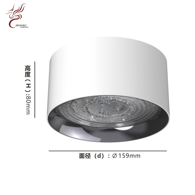 AC220V White Cylindrical LED Downlight, Aluminum Alloy Round Surface Mount Spotlight Commercial Household Ceiling Light