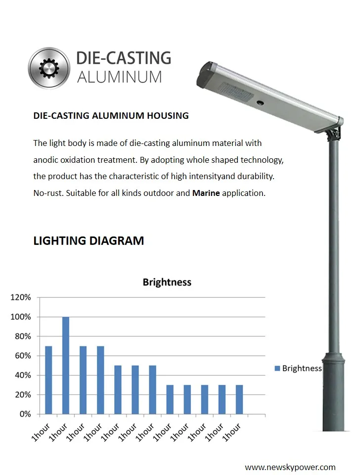 Solar Street Light 6