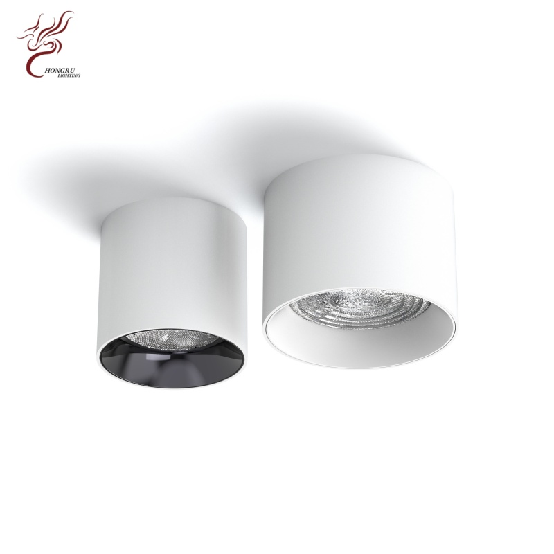 Aluminum Round Surface Mount LED Downlight, White Cylindrical LED Spotlight, AC220V Commercial Indoor Ceiling Lighting Lamp