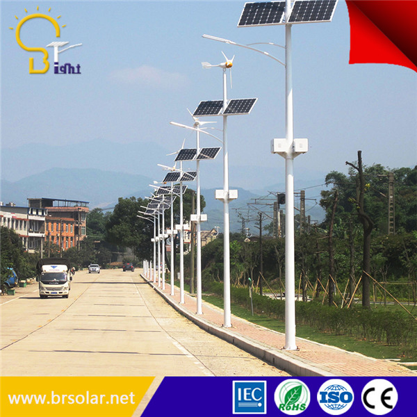 China Top Pure White 15W to 120W Wind Solar Hybrid Street Lights