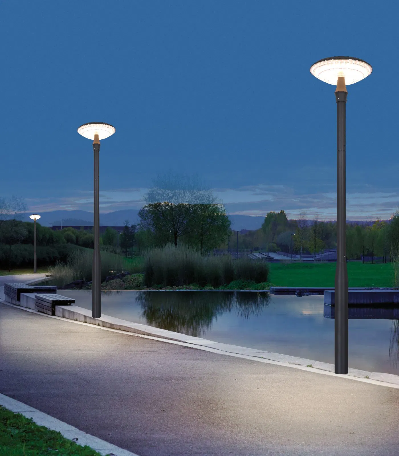 Premium IP65 Solar Accent Lamp for Outdoor Illumination