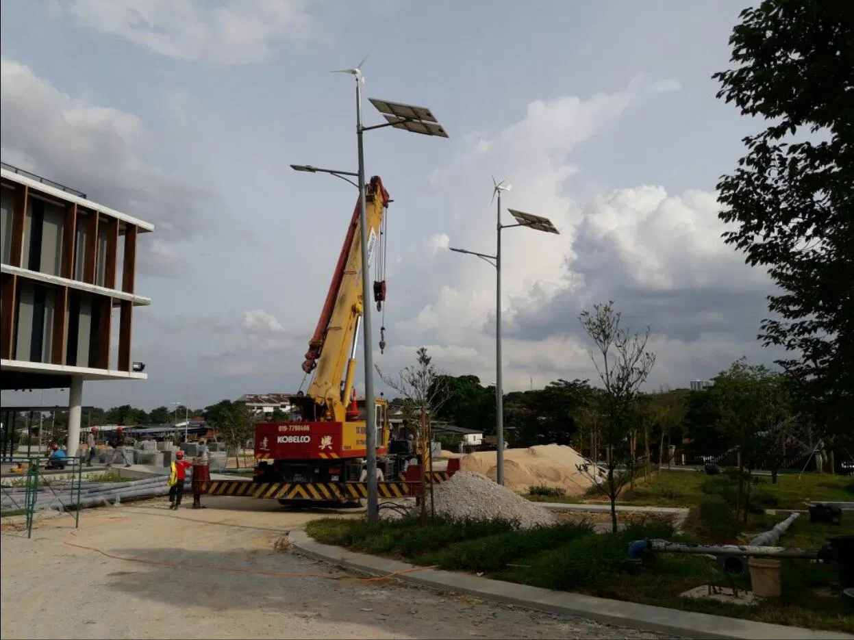 Popular 8m 40W LED Solar Hybrid Street Lighting