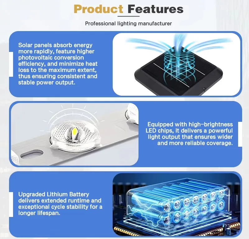 Solar Lawn Light Display 4