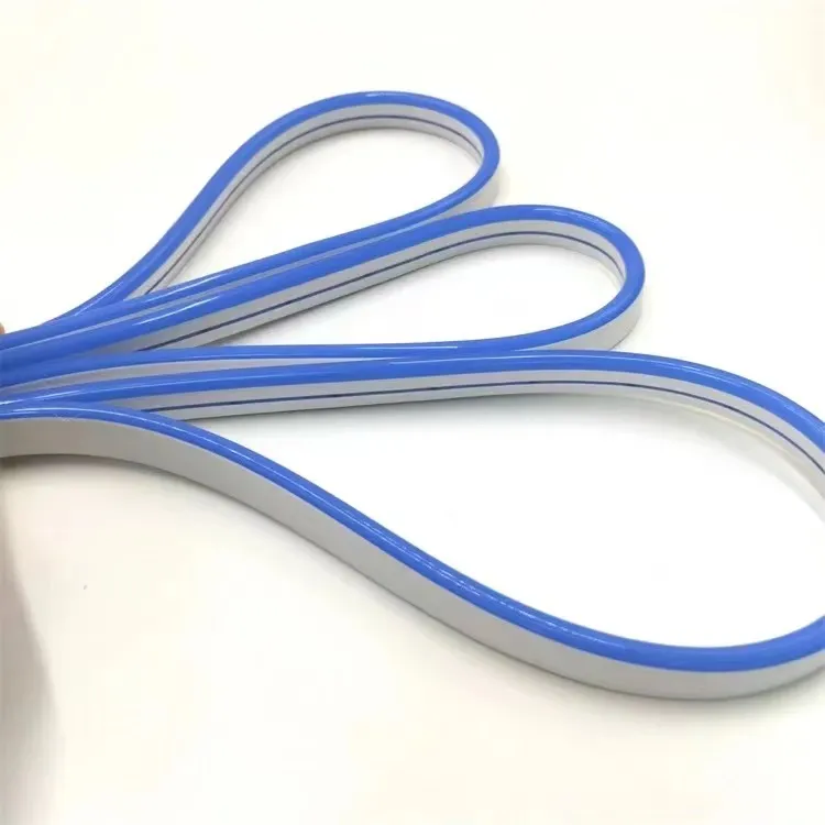 LED Neon Strip Details