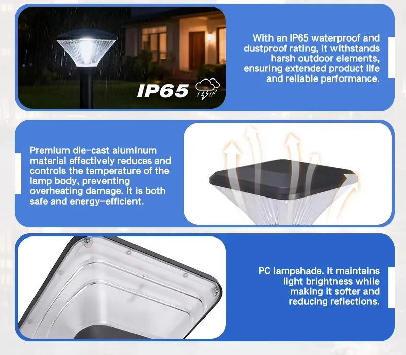 Solar Lawn Light Display 5