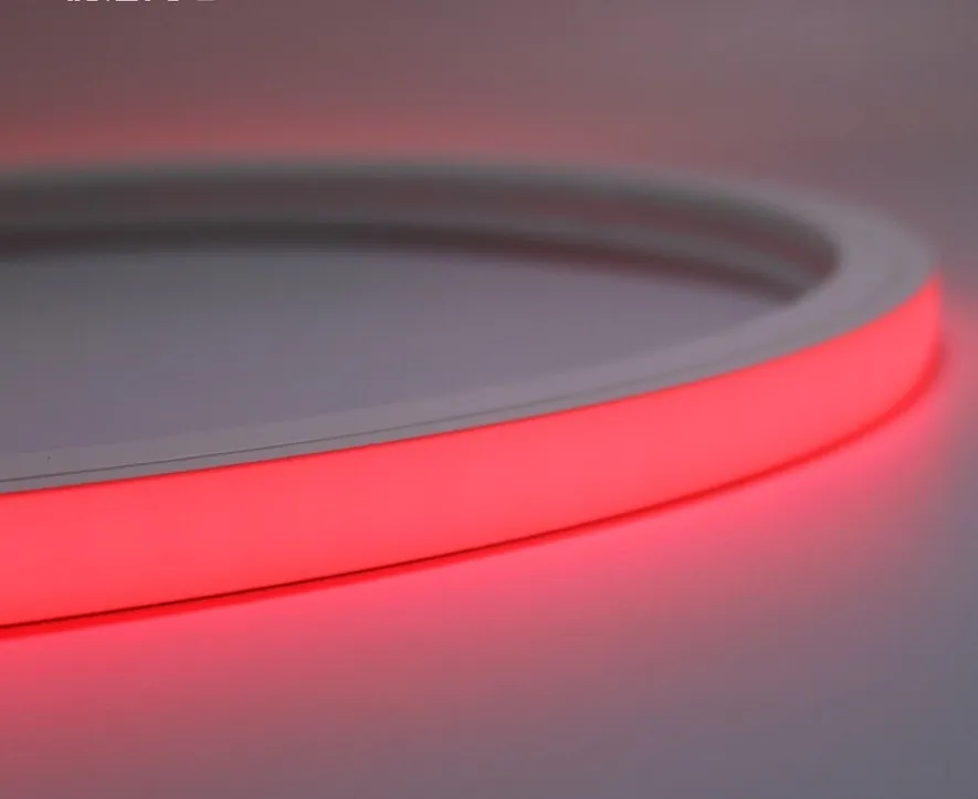 LED Neon Flex 4