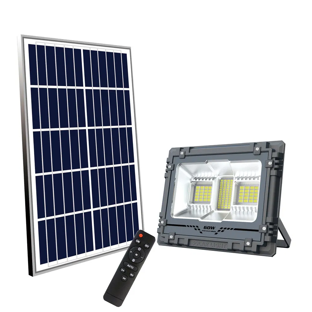 Solar Security Light Detail