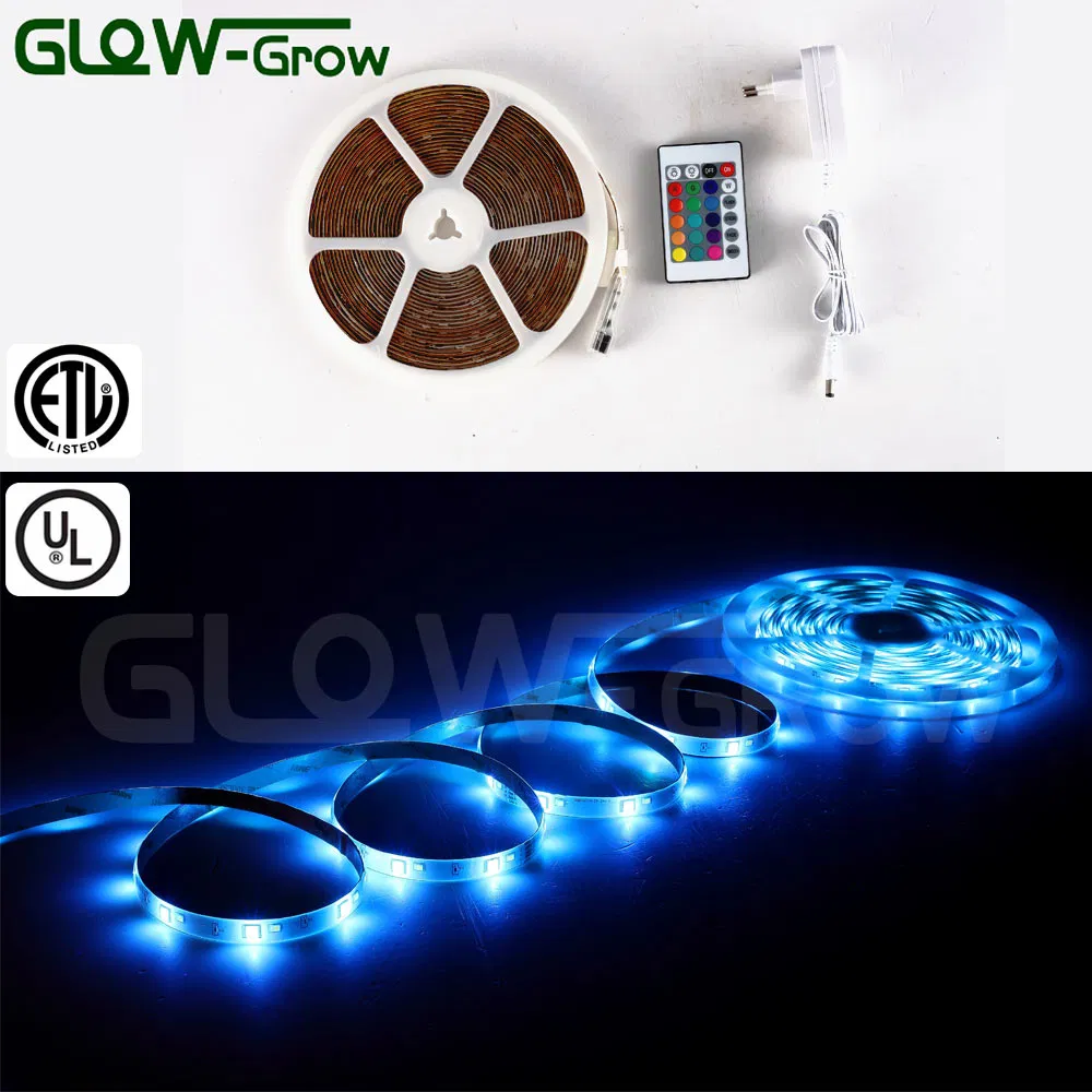 Outdoor Lighting Purple 12V RGBW LED Strips with UL Approval