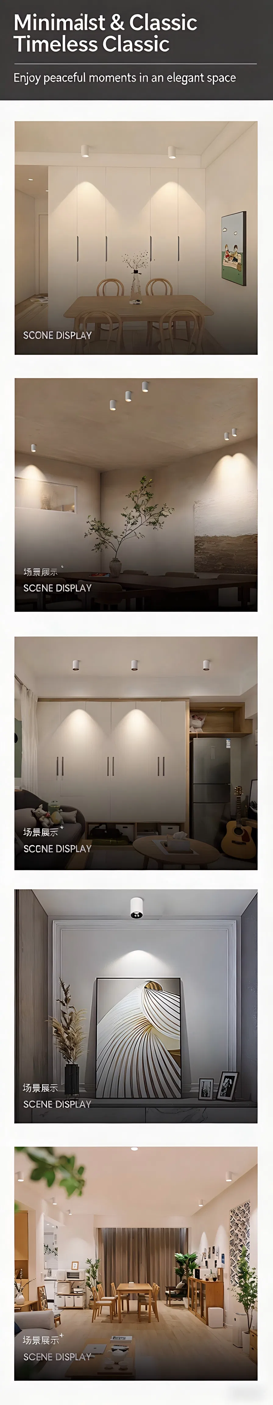 LED Downlight Long Profile