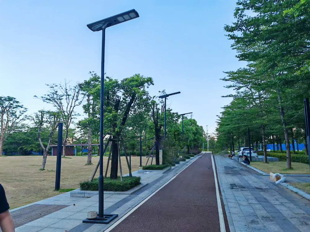 Solar Installation View