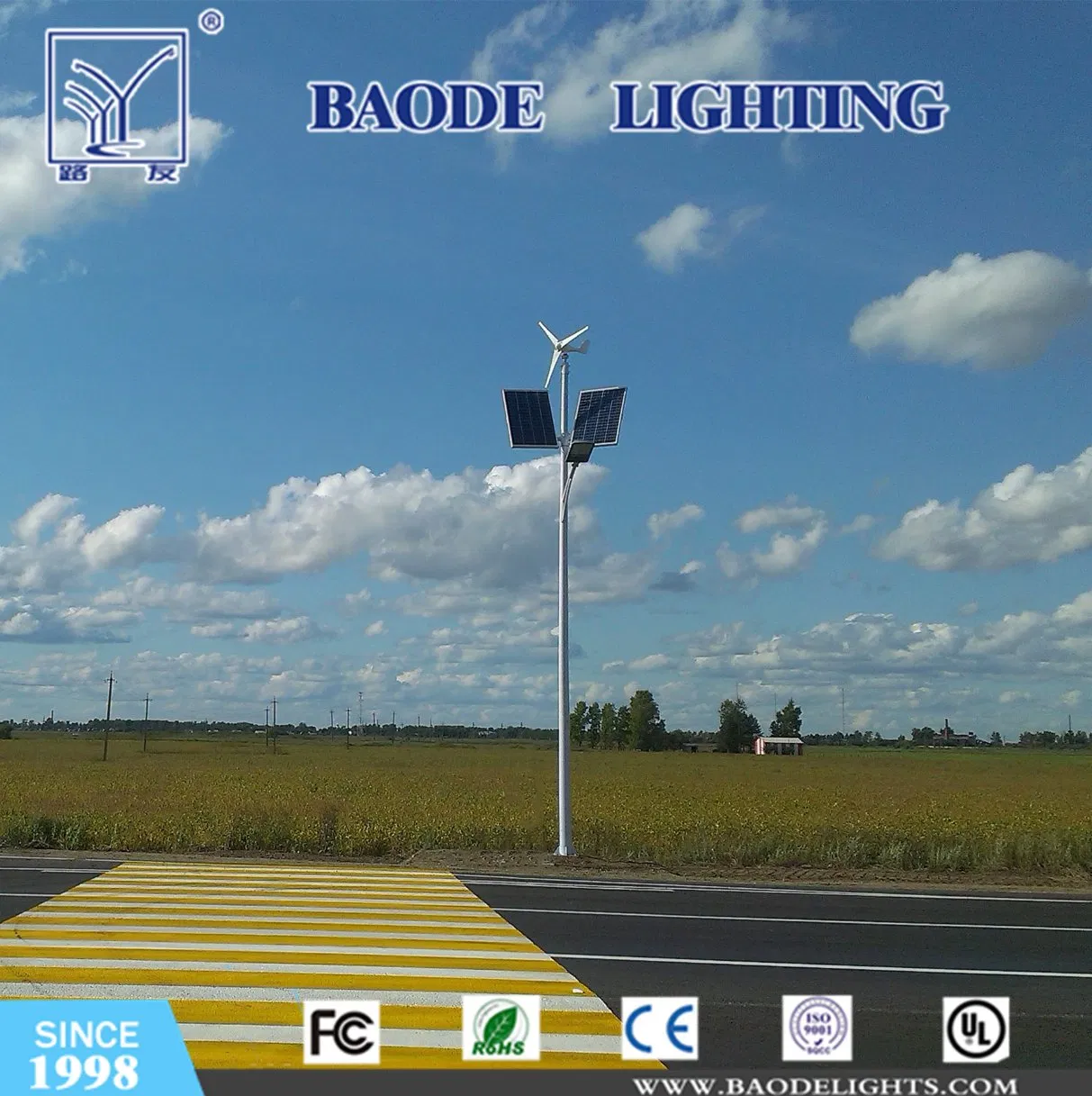 Manufacturer of 300W Wind-Solar Hybrid Power Street Light
