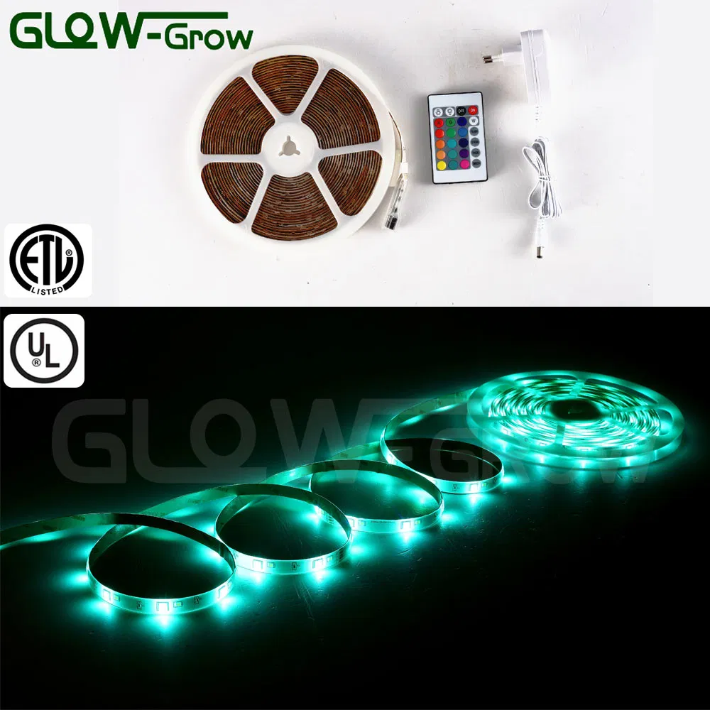 Outdoor Lighting Purple 12V RGBW LED Strips with UL Approval