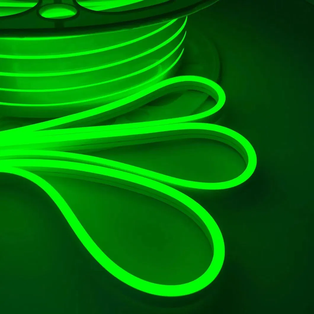LED Neon Flex Close Up