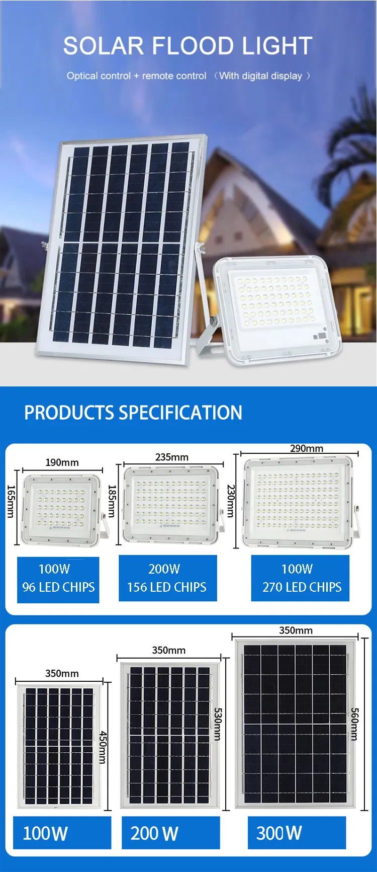 Solar Flood Light Detail