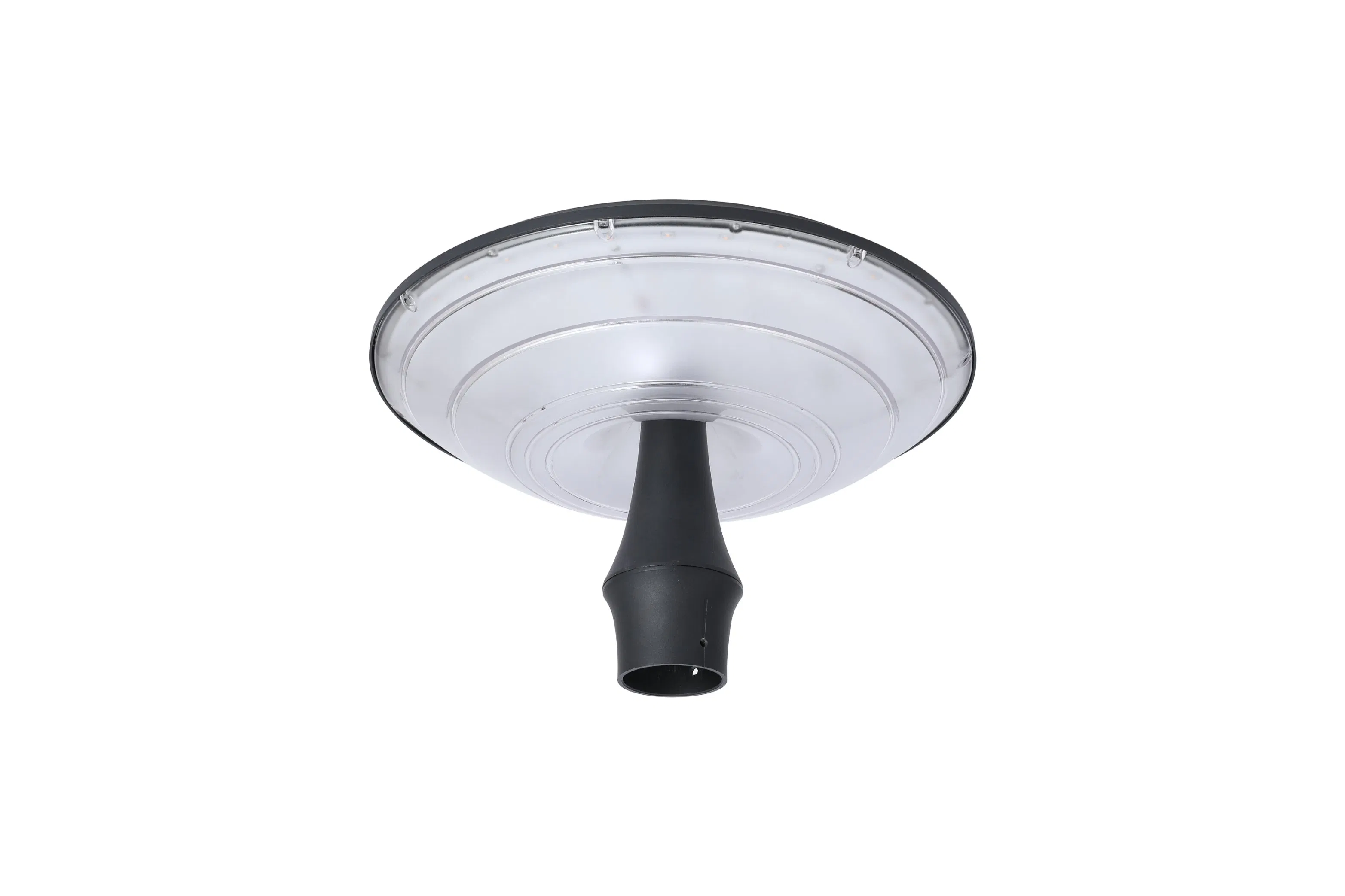 Premium IP65 Solar Accent Lamp for Outdoor Illumination