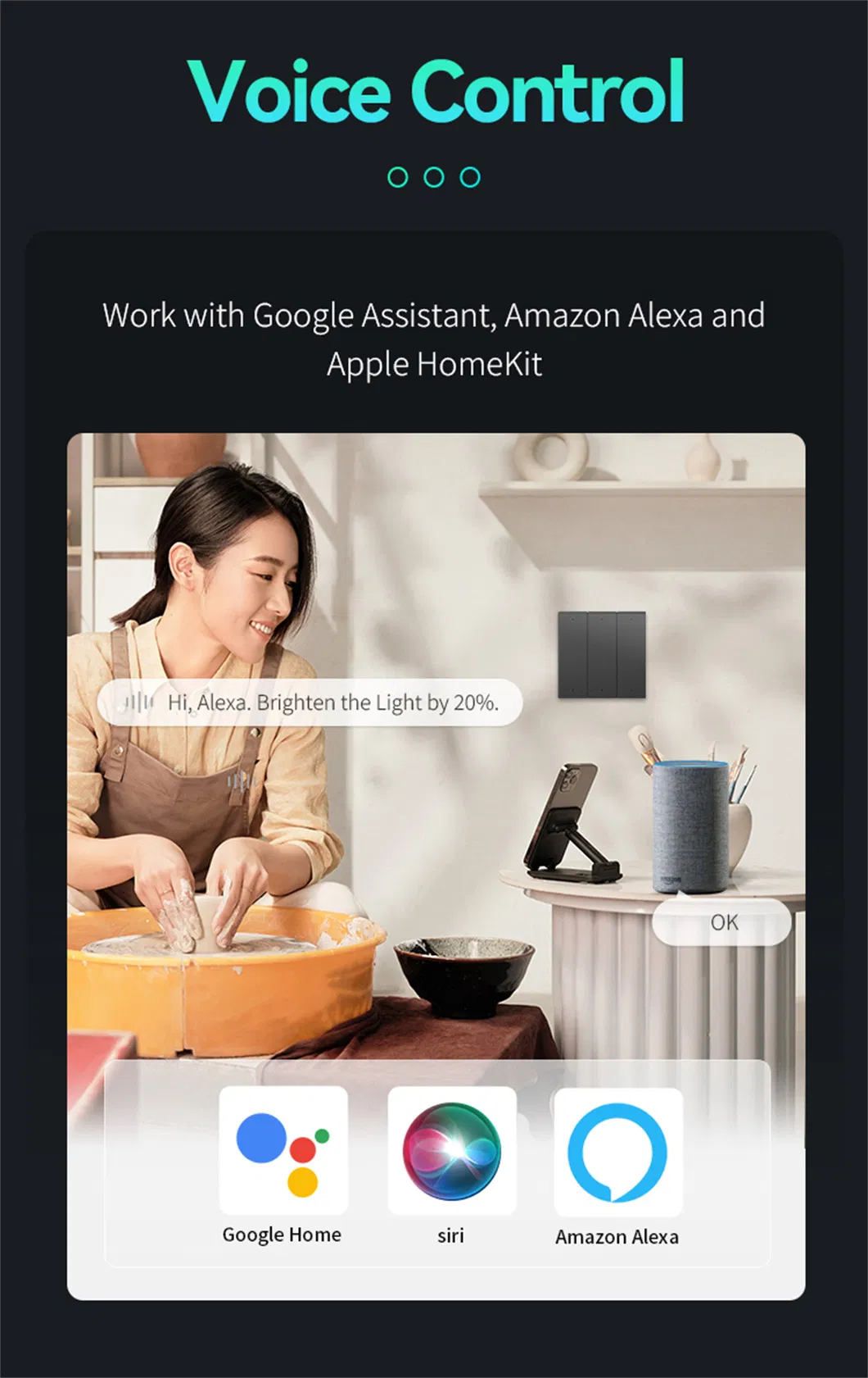 Voice Control