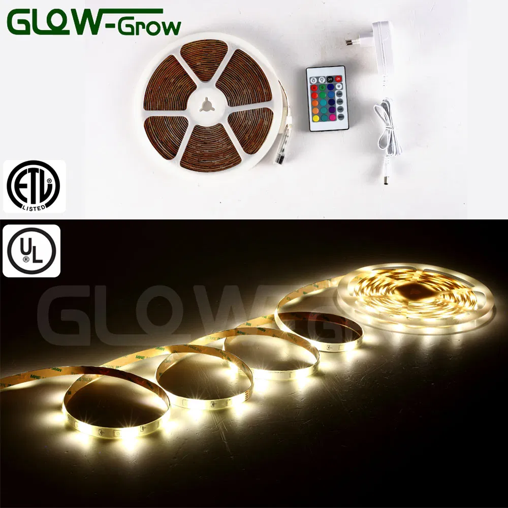 Outdoor Lighting Purple 12V RGBW LED Strips with UL Approval