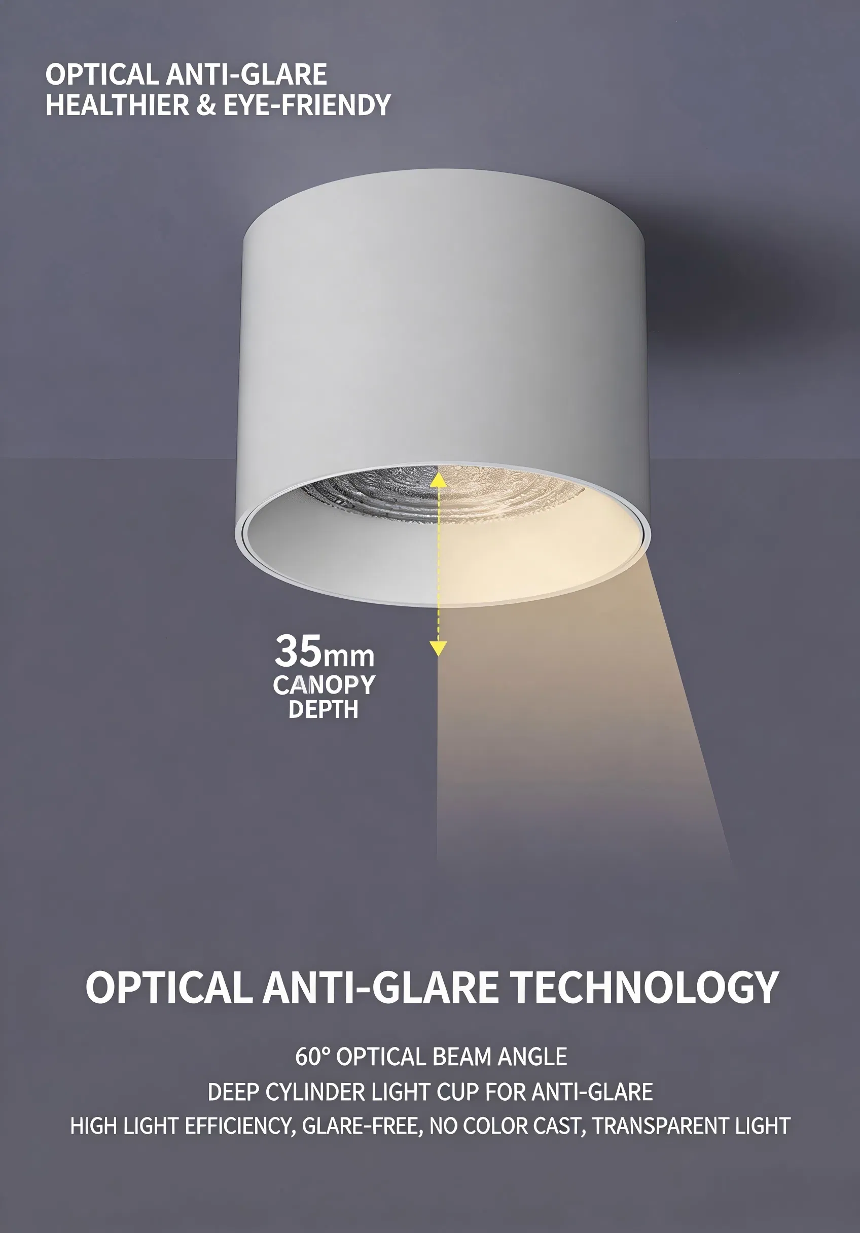 LED Downlight Detail 2