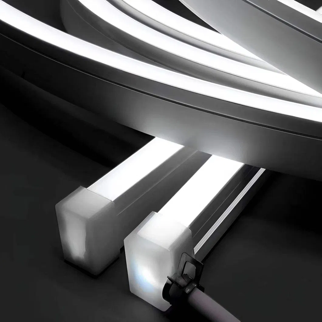 LED Neon Flex 8