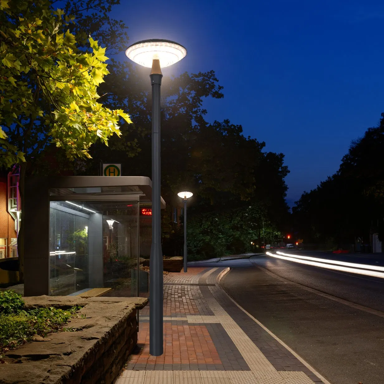 Premium IP65 Solar Accent Lamp for Outdoor Illumination