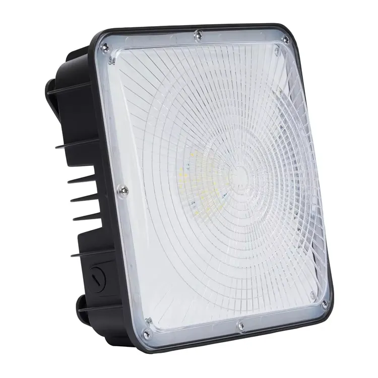 LED Canopy Light 3
