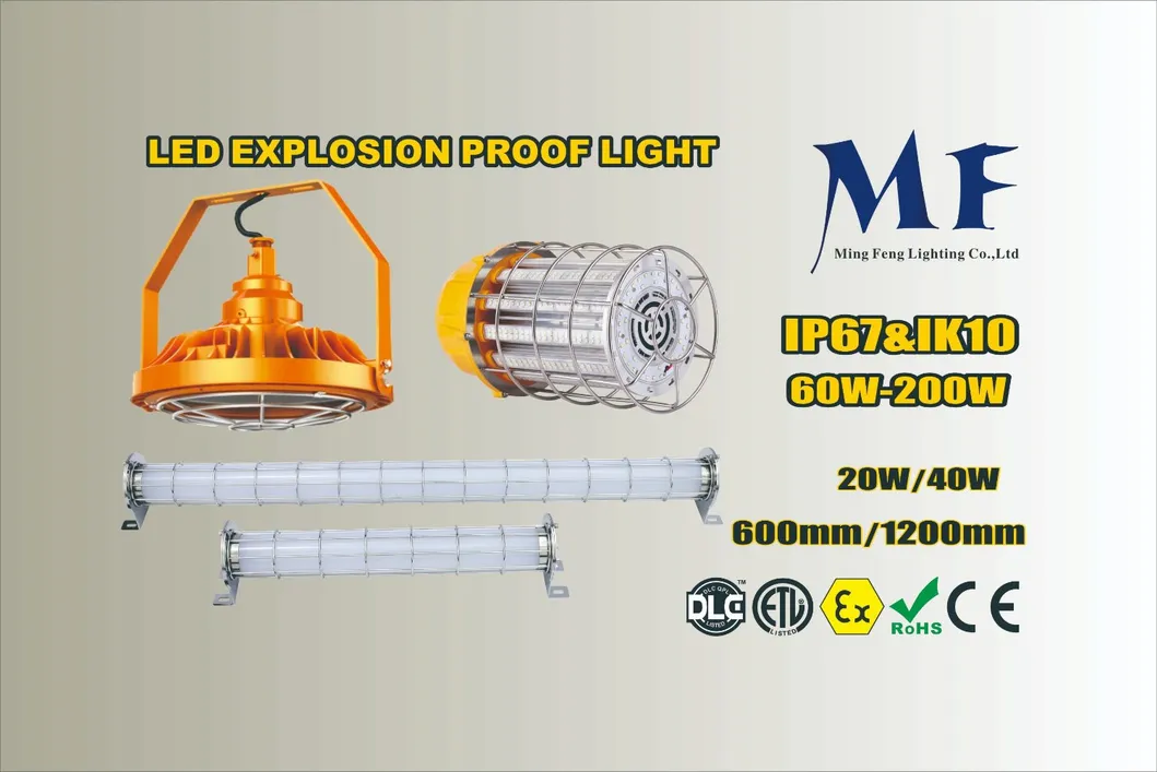 Industrial Explosion Proof Light