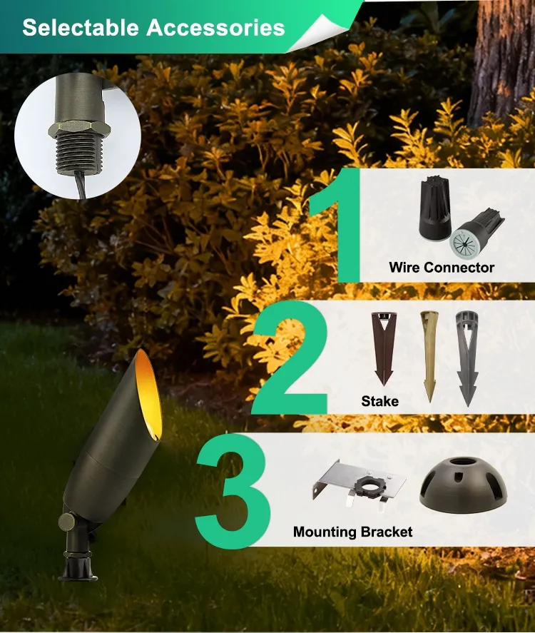 Outdoor Accent Lighting 5