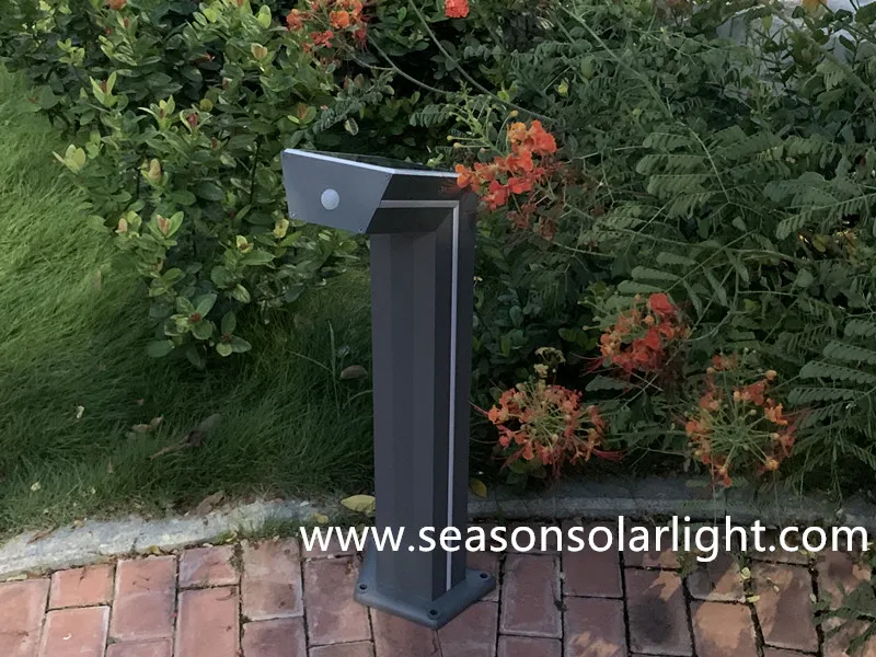 Solar Pathway Light Application