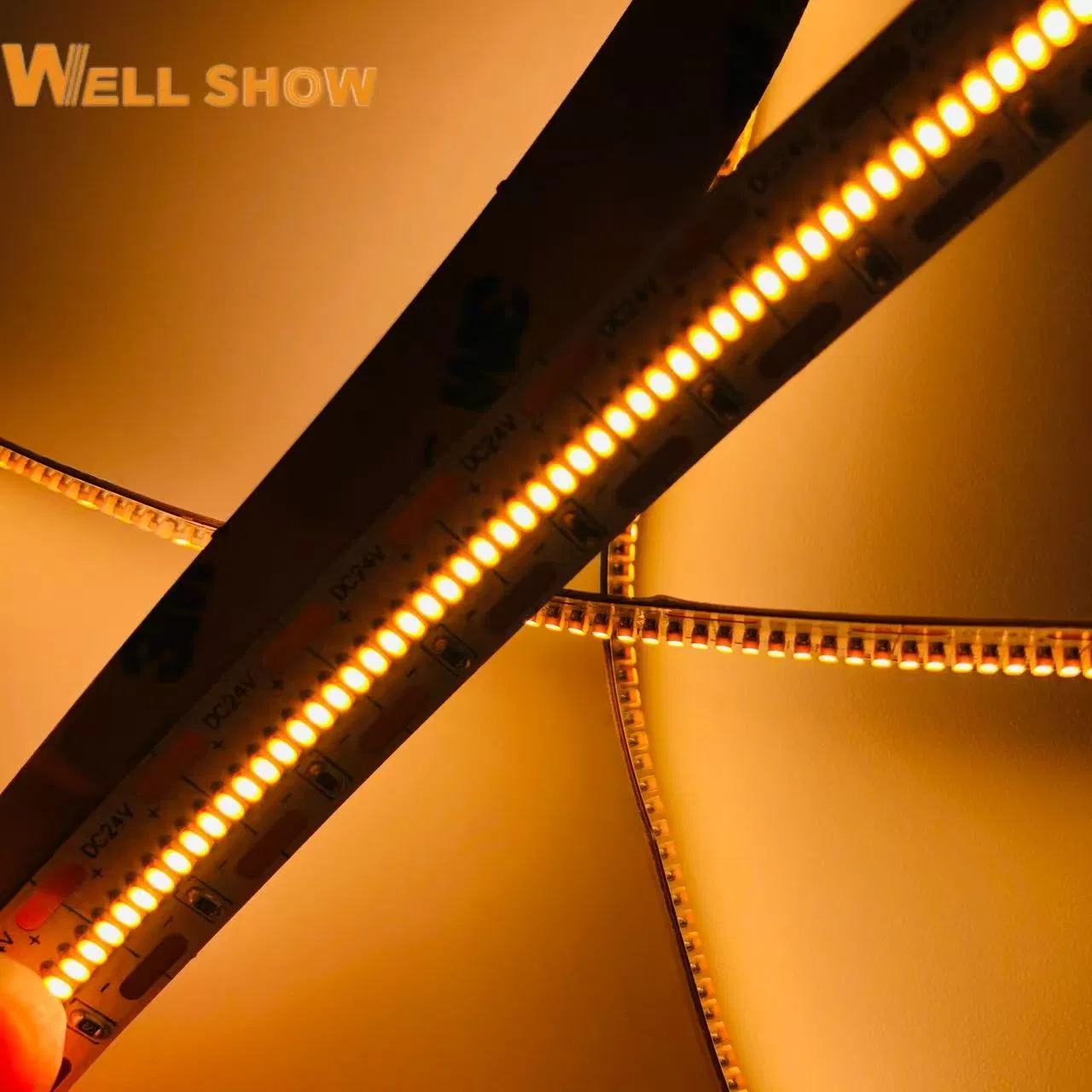 High Density Indoor/Outdoor 12V 700LEDs SMD Strip Light 2110 LED Strip Lighting