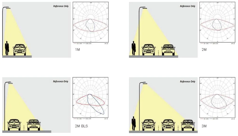 Light Distribution