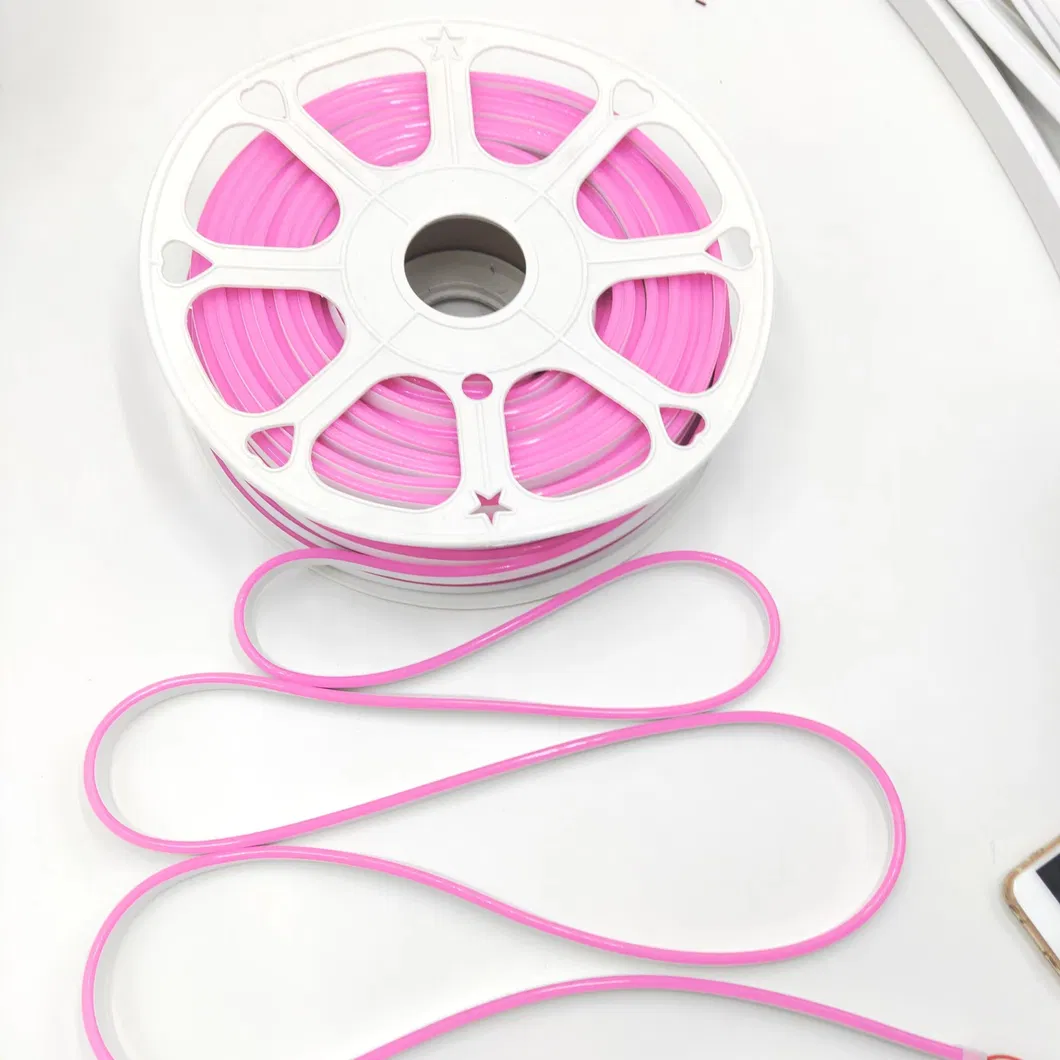 LED Neon Flex Light Up