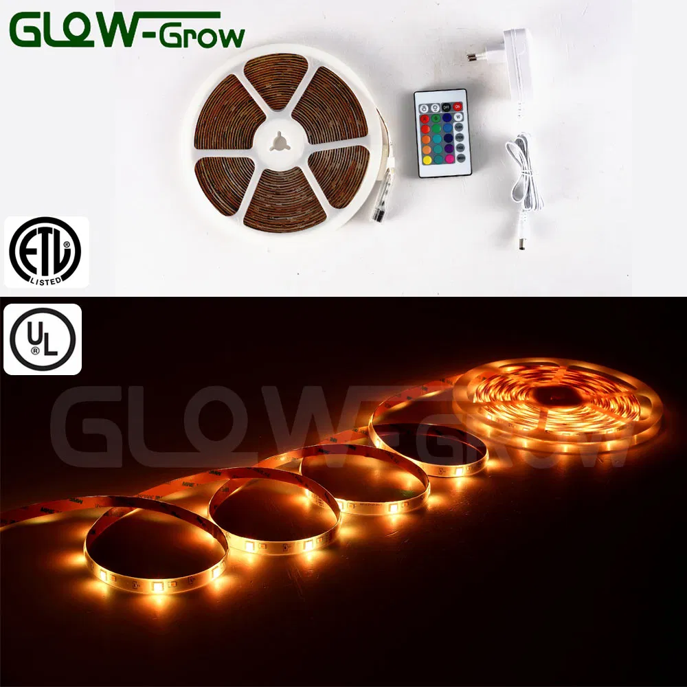 Outdoor Lighting Purple 12V RGBW LED Strips with UL Approval