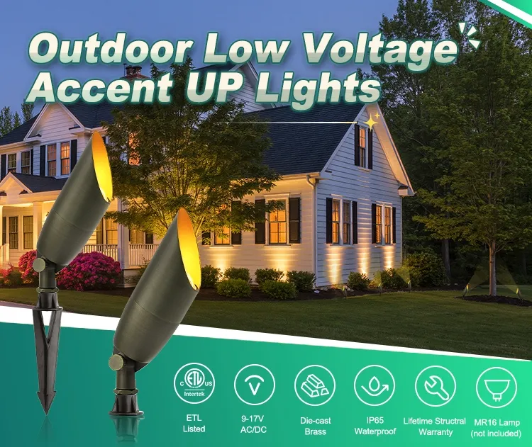 Outdoor Accent Lighting 1