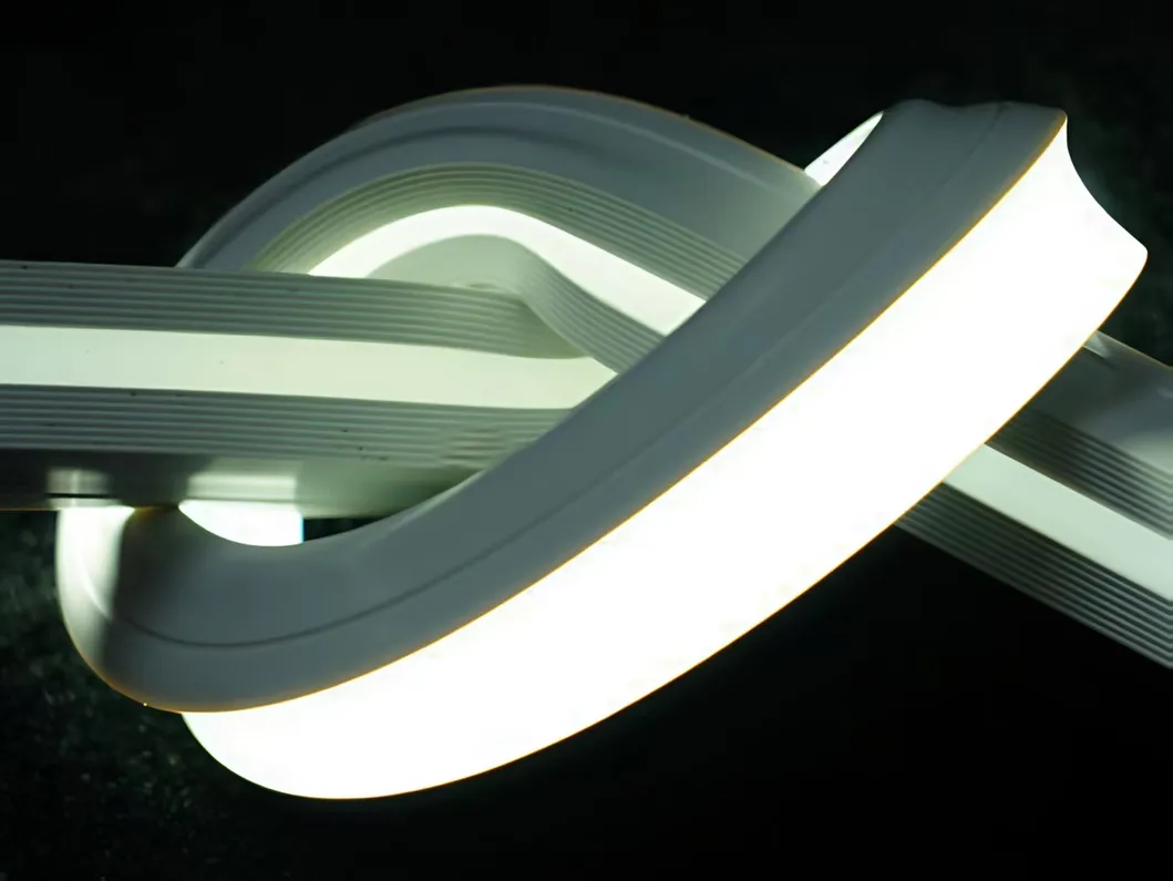 LED Neon Flex 2